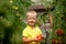 Portrait smiling kid boy collects a harvest of red ripe tomatoes in the greenhouse