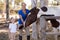 Portrait of smiling sister with horse