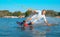 PORTRAIT: Smiling wakesurfer riding in the waterski cable park on a sunny day.