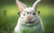 Portrait of a smiling white rabbit wearing glasses, blurred green grass background, generative AI