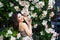 Portrait of a smiling young brunette Caucasian beautiful woman near rose bush, vertical, waist up