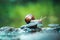 portrait of a snail on a rock like in a river