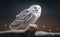 Portrait of snowy owl perch on a branch in snow, generative AI