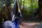 The portrait of the  southern cassowary also known as double-wattled cassowary is a large flightless black bird. It is a ratite