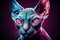 Portrait of a sphynx cat, hairless cat breed, generative ai
