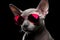 Portrait Sphynx Cat With Sunglasses Black Background