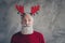 Portrait of stylish funky old man in reindeer headband enjoy christmas party x-mas celebration wear red modern sweater