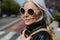 Portrait of stylish mature woman with gray hair on city street. Older woman in sunglasses waiting for public transport.