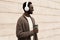 Portrait stylish smiling african man in wireless headphones listening to music with coffee cup wearing brown knitted cardigan