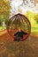 Portrait of a stylish three year old girl in a red weaved swing in the autumn park