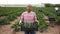 Portrait of successful hispanic grower engaged in cultivation of organic green courgettes posing on vegetable plantation