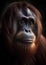 Portrait of a Sumatran orangutan. Ai-generated.