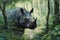 Portrait of Sumatran Rhino in the wild Generative AI