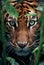 Portrait of Sumatran tiger in the jungle, Sumatra, Indonesia