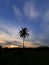 Portrait of the sunset in the afternoon on the road to the rice fields in the interior of the village