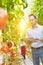 Portrait of supervisor using digital tablet while examining tomatoes growing in greenhouse with yellow lens flare in background