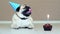 Portrait of surprised funny pug dog with party hat and birthday cake with candle, barks