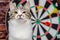 Portrait of a tabby cat against the background of a circle of darts