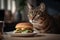 Portrait of a tabby cat eating a hamburger at home