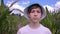 portrait of a teen boy on the background of a cornfield in summer looking at the camera, cinematic