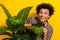 Portrait of toothy beaming pleasant person with chevelure wear leopard shirt stand behind plant isolated on yellow color