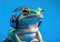 Portrait the tree frog poses in the photo studio.