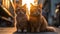 A portrait of two beautiful yellow stripe domestic pet house cats chill, relaxed and sit at the public area with afternoon sunset