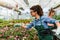 Portrait of two beautiful young women entrepreneurs in flower greenhouse