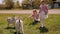 Portrait of two charming twin girls on a farm with two little goats.