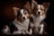 portrait of two cute dogs sitting side by side, with their heads turned towards the camera