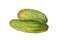Portrait of two green colored fresh medium size cucumber isolated in a white background
