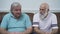 Portrait of two mature senior men sitting on the leather sofa. Happy people chatting, talking, have conversation