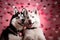 Portrait of two Siberian Huskies on a pink background with hearts taking a selfie for Valentine\\\'s day