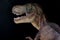 Portrait of a Tyrannosaurus rex on black background