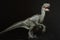 Portrait of a velociraptor on black background