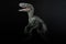 Portrait of a velociraptor on black background