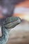 Portrait of a velociraptor in a jurassic world