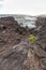 Portrait view of Azores coast.