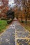 Portrait view of the biker path and pedestrian path in the colourful park.