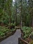 Portrait view of footpath with wooden railing between dense forest at Cathedral Grove in MacMillan Provincial Park, Canada.