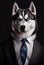 Portrait of wealthy husky businessman in classic suit with a tie - AI generated beautiful dog