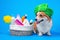 Portrait welsh corgi pembroke dog with a box of accessories for bathing with a green towel on his head or grooming against an blue