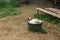 Portrait of a white-brown sheep, sleeping on a happy outdoor bin