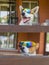 Portrait of white cross-breed dog and Basenji dog in chameleon sunglasses peeping out from the balcony