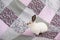 Portrait of a white rabbit with red eyes on a pink and purple blanket with flowers