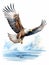 Portrait of a White-tailed Eagle: Majestic Bird of Prey in Aquarelle AI Generated