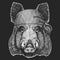 Portrait of wild hog, boar, pig. Bandana. Biker, pirate. Face of brave animal.