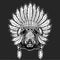 Portrait of wild hog, boar, pig. Indian tribal traditional headdress with feathers. Face of brave animal.