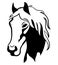 Portrait of a wild mustang. Black white illustration of a horse head. Vector illustration for logo. Tattoo.