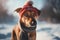 Portrait of winter cloth dog. Generate Ai